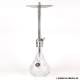 Amy Shisha Xpress Fame Clear